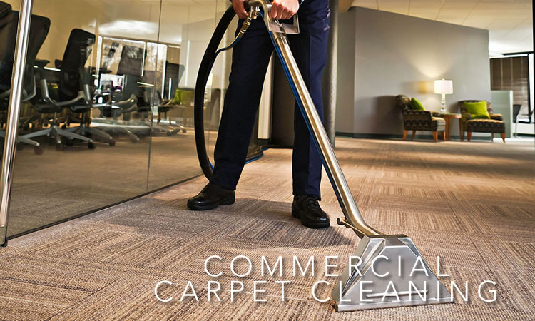 Blue Ribbon Carpet Cleaning