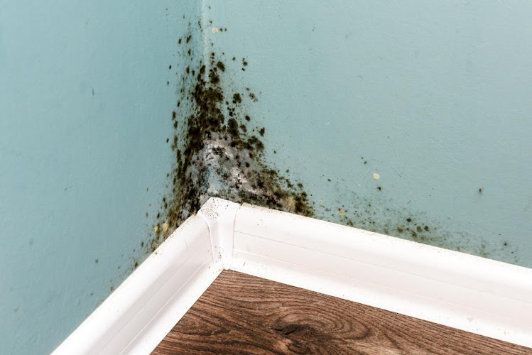 Mold Testing Nationwide
