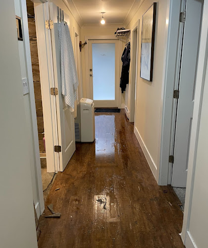 Pembroke Pines Mold Removal Experts