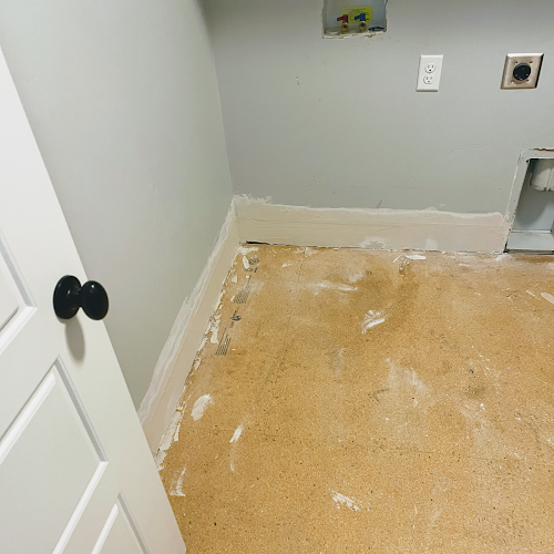 Boise Mold Removal