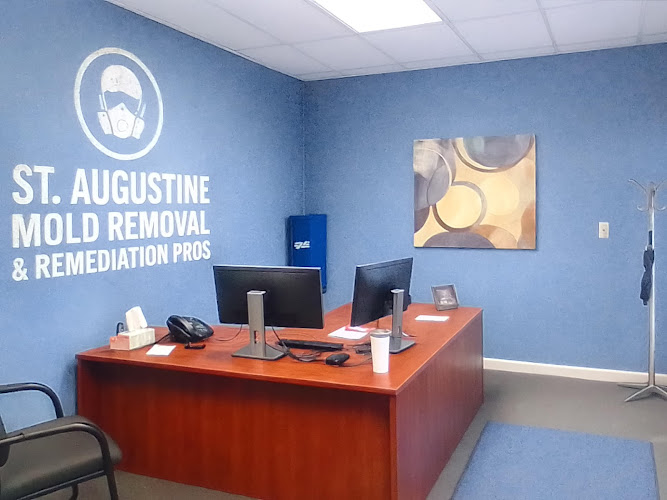 St. Augustine Mold Removal & Remediation Pros