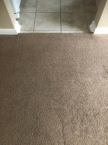 Tex A Clean Carpet Care LLC Katy Tx