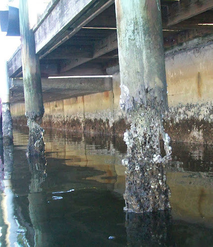 Formapile Industries Inc