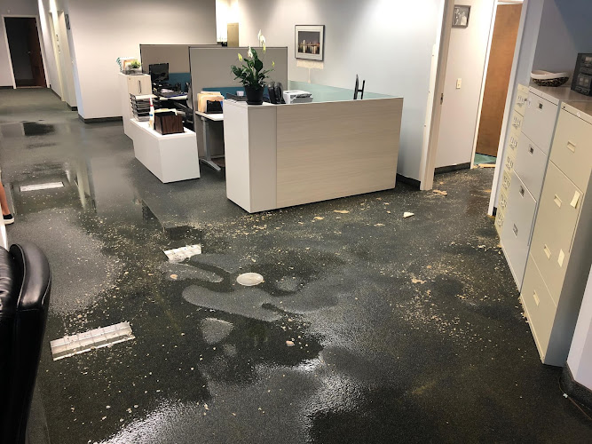 Water Damage Restoration Champion