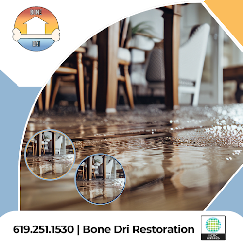 Bone Dri Restoration