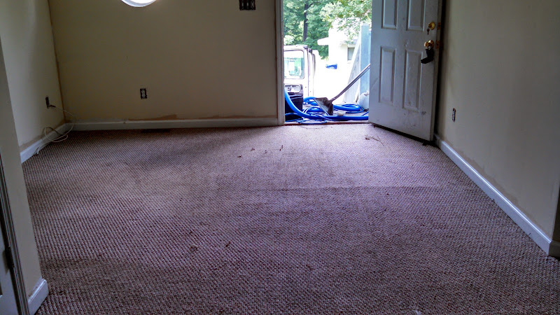 Blue Bubble Home Services