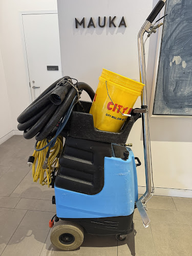 Kiwi Carpet Cleaning