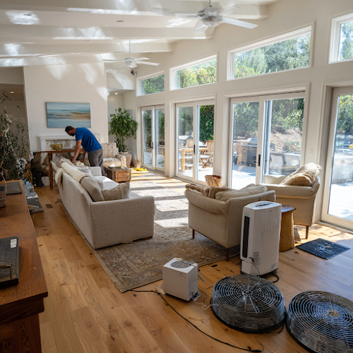 Mold Remediation & Inspection King