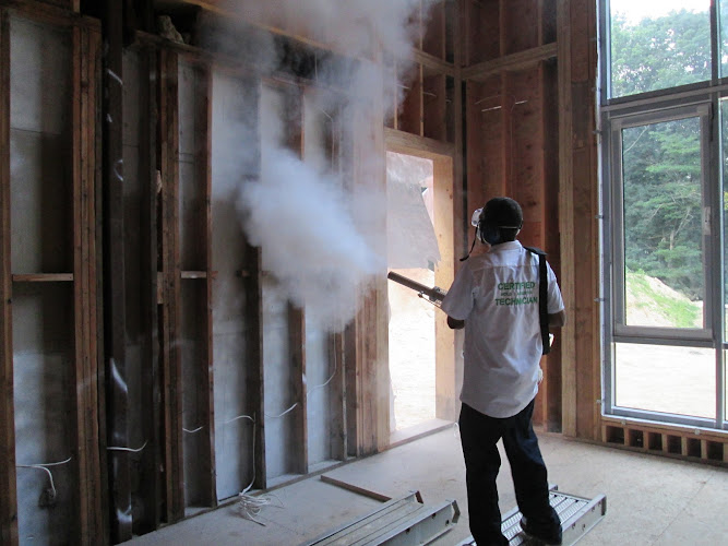 Indoor Mold Specialist