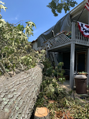 Broadstone Restoration