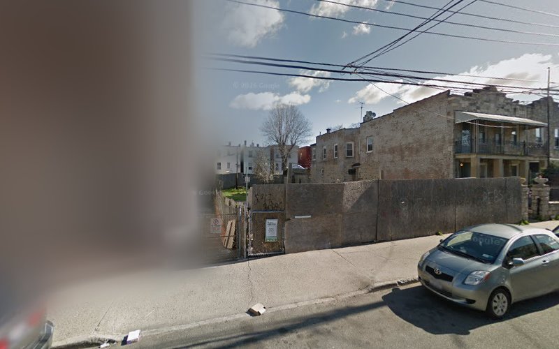 Flat Rate Mold Removal