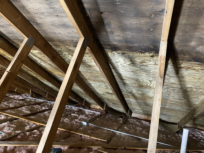 ELITE MOLD REMEDIATION