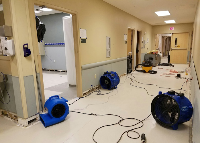 Restoration 1 of Central St. Louis