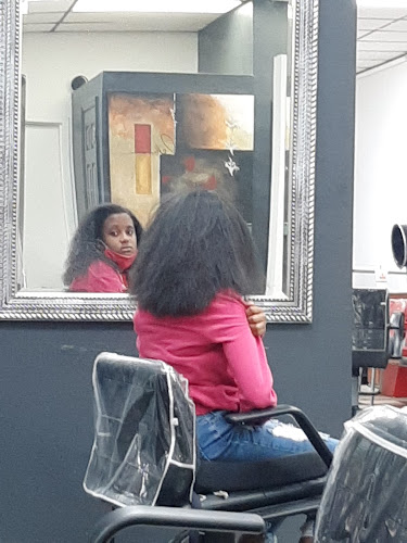 Water Damage Restoration Tampa