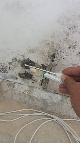 Same Day Mold Testing, Inc.