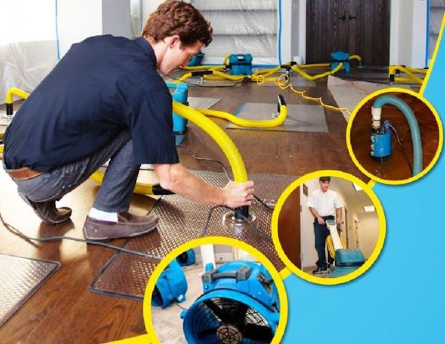 We Water Damage & Mold Removals Olney