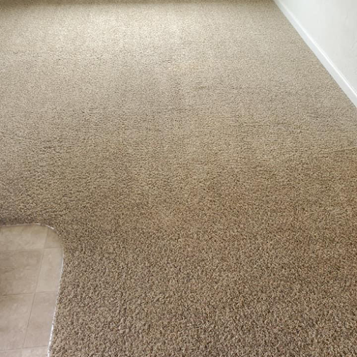 Premium Carpet Care and Water Remediation