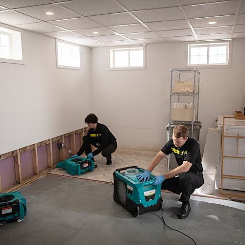 ServiceMaster Restoration by Professional Services Houston