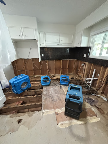 Green Planet Restoration San Diego