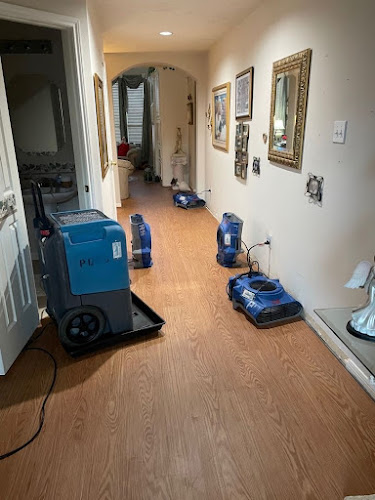 Pinnacle Disaster & Recovery Services