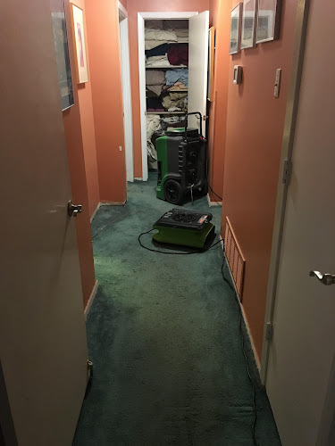 Manhattan Beach Expert