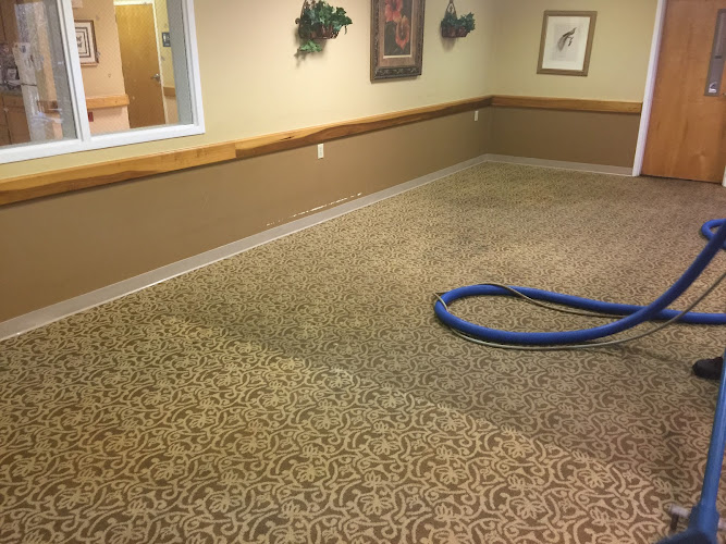 Professional Care Carpet Cleaning