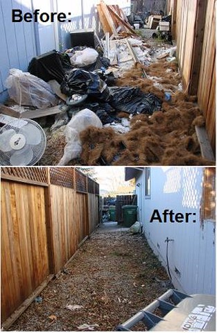 Flooded Clean up Services