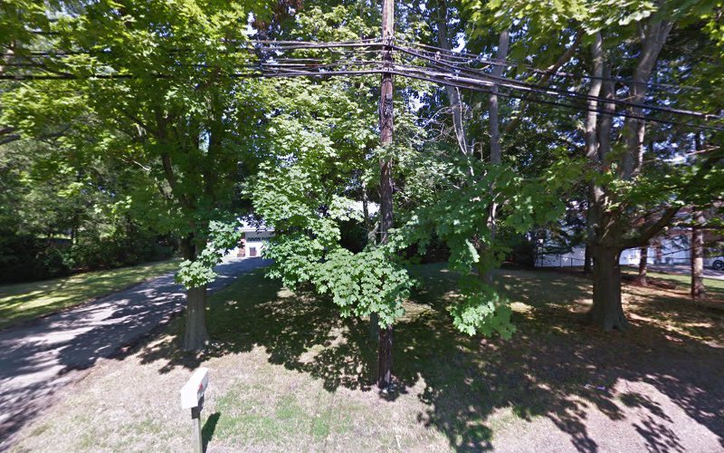 Dave & Sons Mold Inspection Bay shore