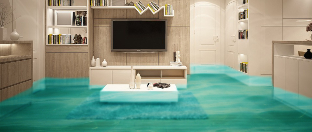 Rapid Restoration Recovery, Inc.