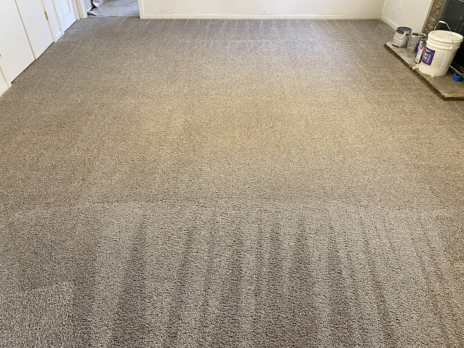 New Life Carpet Care and Water Restoration