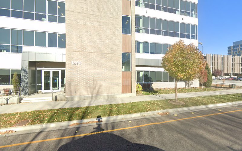 BlueHaven Water Damage & Restoration