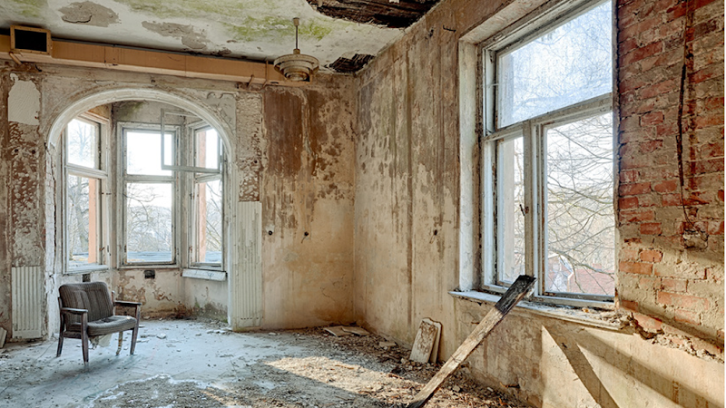 Disaster Services LLC