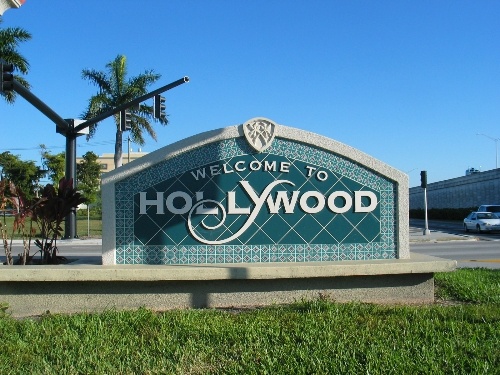 Hollywood Mold removal Chief