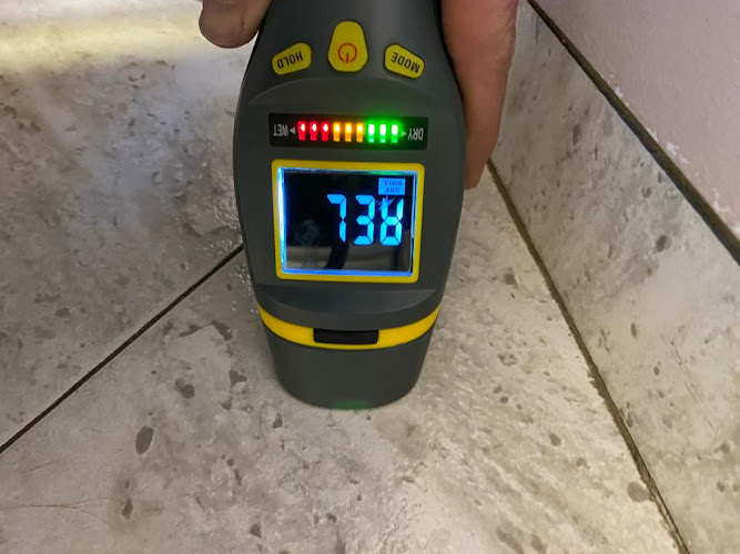 Ari Mold Inspection Mold Testing Brooklyn NY