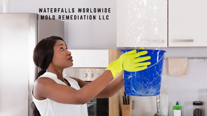Waterfalls Worldwide Mold Remediation LLC