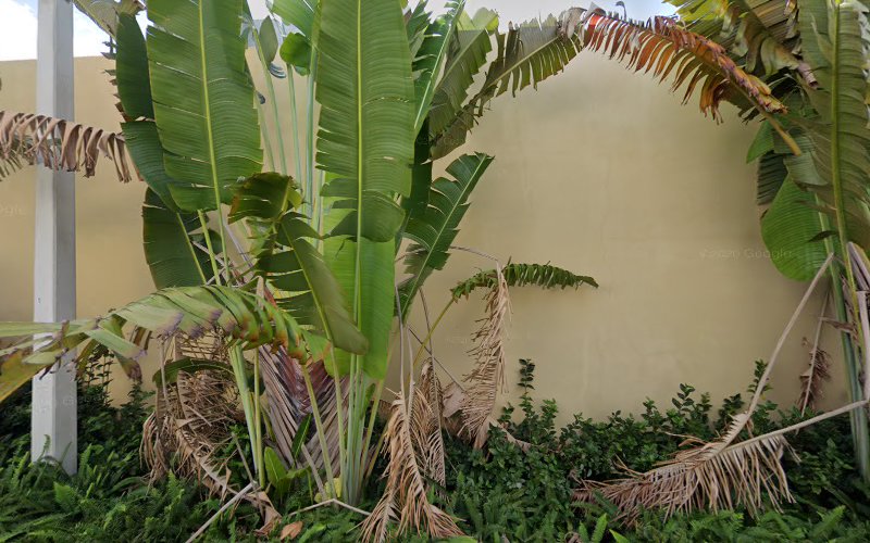 Full Restoration Pros Coral Gable