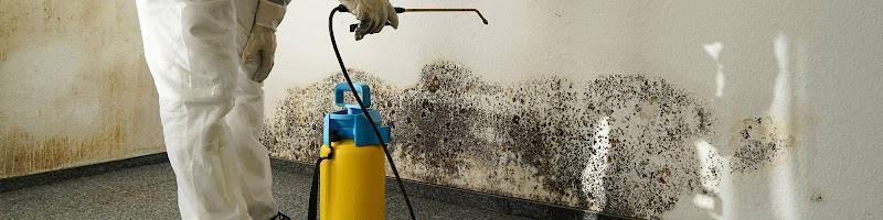 A1 Water & Mold Removal MA