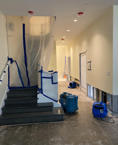 White Glove Mold Inspection & Water Damage Restoration