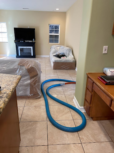 Water Damage Mold Remediation Emergency