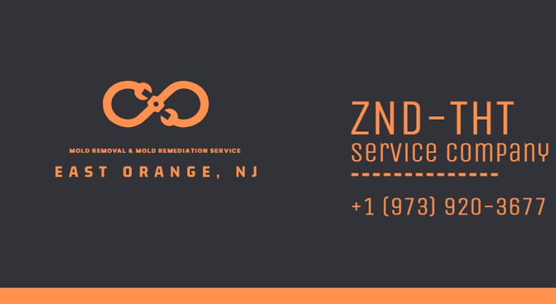 ZND-THT Mold Removal & Mold Remediation Service East Orange, NJ