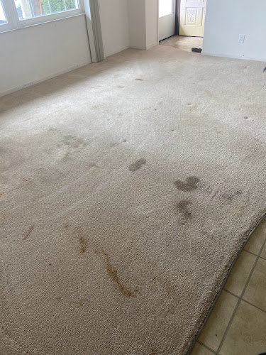 CarpetCraft, Tile and Grout Cleaning