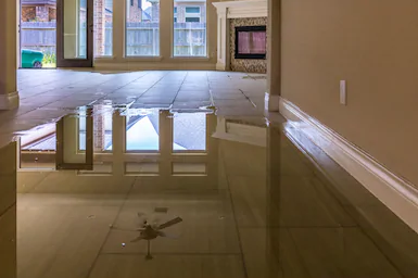 Ultimate Environmental Solutions