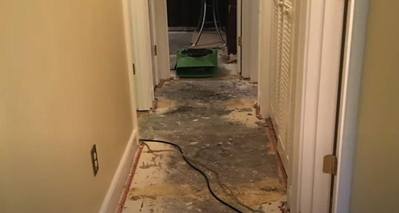 Certified Mold & Water Damage Restoration Team LLC