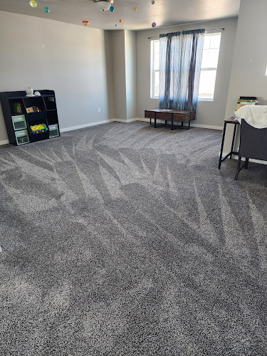 Koala T Carpet Cleaning