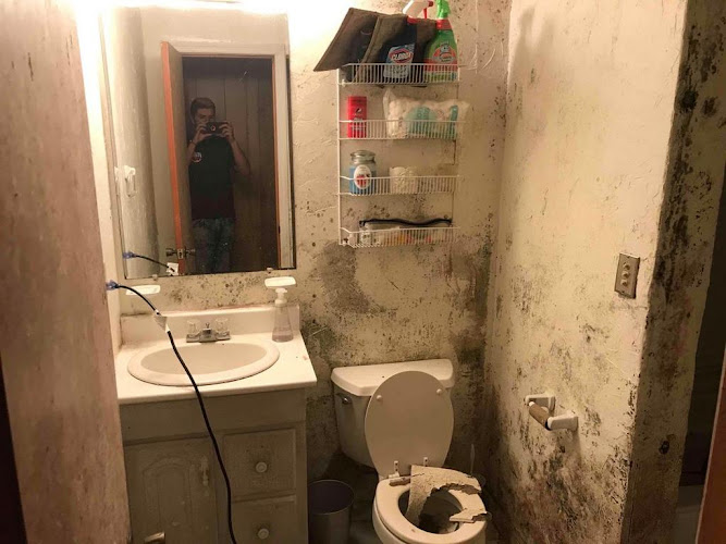 Special Touch Restoration