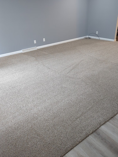 High Performance Carpet Cleaning