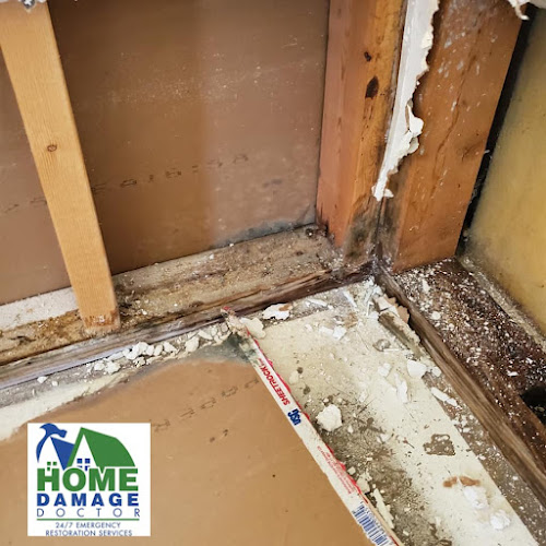 Home Damage Doctor, Llc