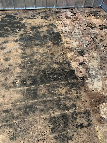 Tacoma Mold Removal Co.