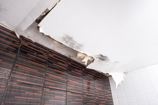 NY Water Damage Restoration And Repair - Pured Brooklyn