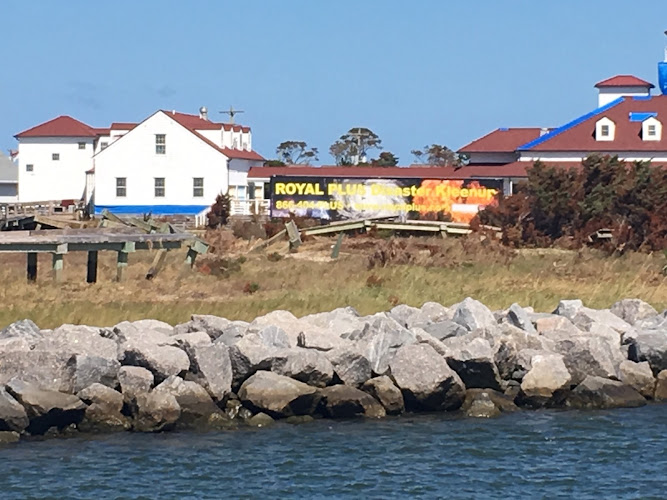 Royal Plus Disaster Cleanup Winter Springs